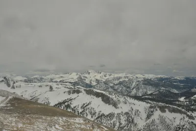 DSC_6700 (Large).JPG